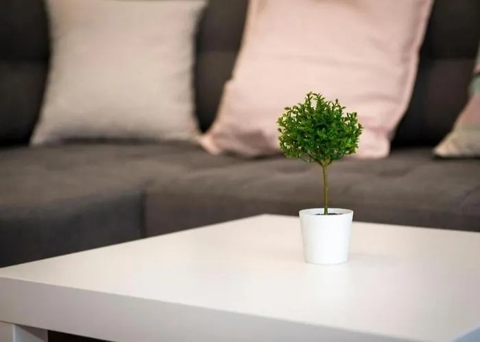 Noa Exclusive * Trebinje